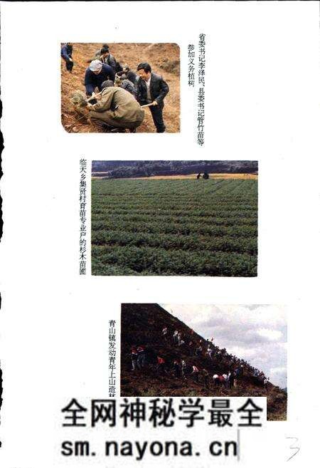 《临安林业志》.pdf电子版_浙江省志预览图5