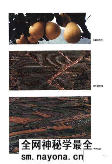 《永嘉县土地志》.pdf电子版_浙江省志预览图5 《永嘉县土地志》.pdf电子版_浙江省志预览图5