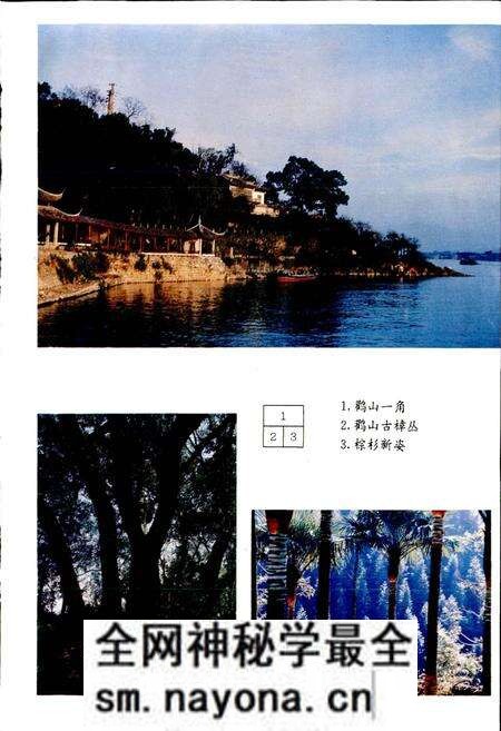 《富阳县林业志》.pdf电子版_浙江省志预览图3 《富阳县林业志》.pdf电子版_浙江省志预览图3