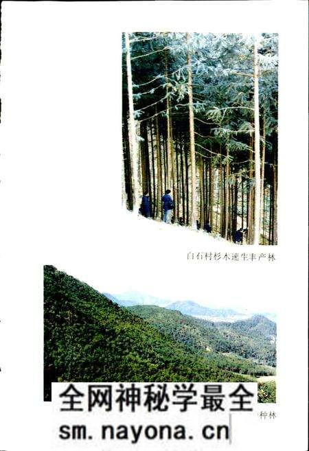 《临海林业特产志》.pdf电子版_浙江省志预览图2