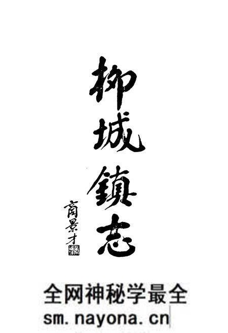 《武义柳城镇志》.pdf电子版_浙江省志预览图3