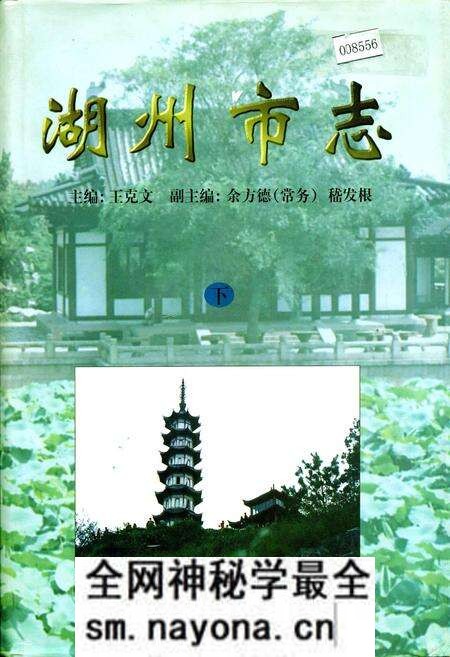 《湖州市志 下》.pdf电子版_浙江省志预览图
