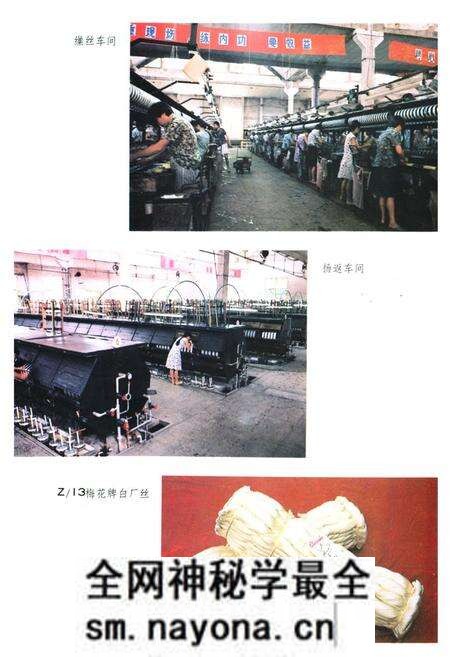 《崇德丝厂志》.pdf电子版_浙江省志预览图4 《崇德丝厂志》.pdf电子版_浙江省志预览图4