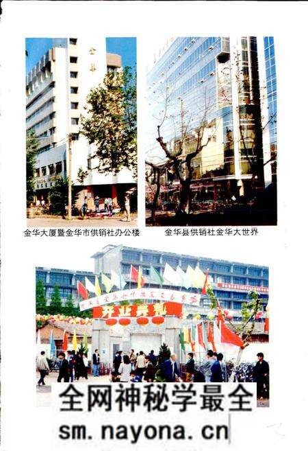 《金华市供销合作社志》.pdf电子版_浙江省志预览图5 《金华市供销合作社志》.pdf电子版_浙江省志预览图5
