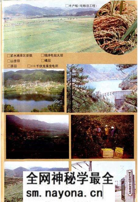 《龙泉县志》.pdf电子版_浙江省志预览图4 《龙泉县志》.pdf电子版_浙江省志预览图4