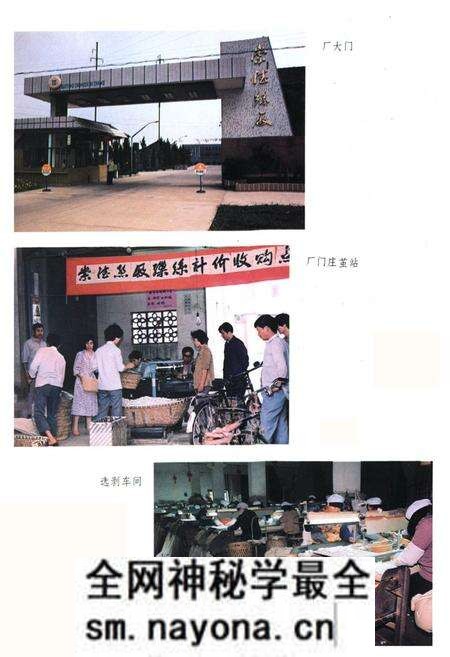 《崇德丝厂志》.pdf电子版_浙江省志预览图3 《崇德丝厂志》.pdf电子版_浙江省志预览图3