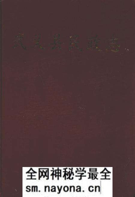 《武义县民政志》.pdf电子版_浙江省志预览图