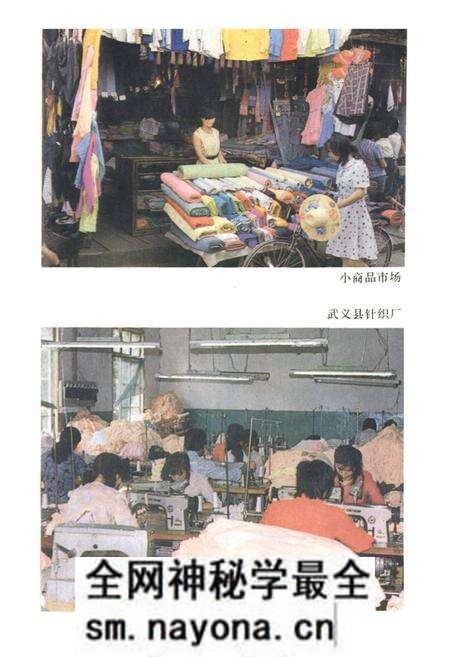 《武义柳城镇志》.pdf电子版_浙江省志预览图5