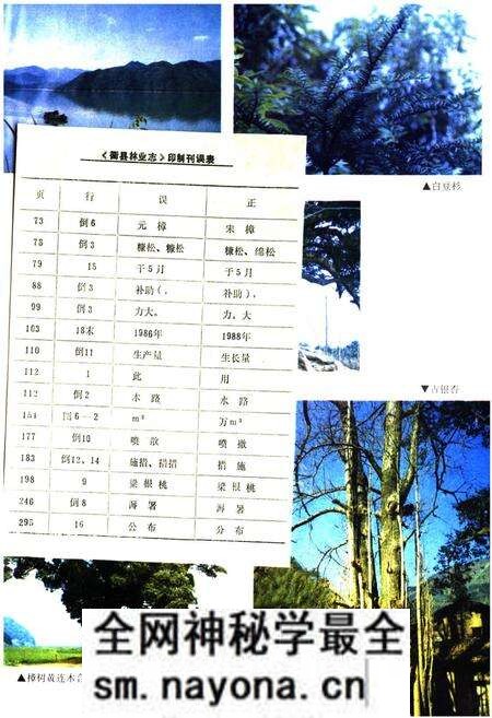 《忂县林业志》.pdf电子版_浙江省志预览图4 《忂县林业志》.pdf电子版_浙江省志预览图4