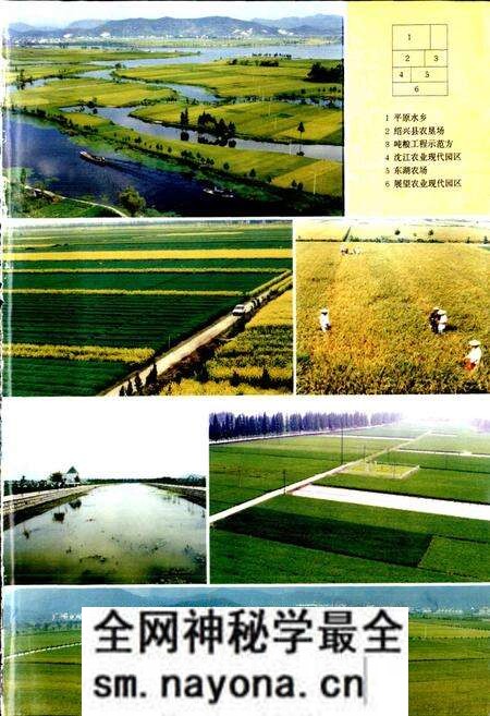 《绍兴县志 第二册 经济 政治》.pdf电子版_浙江省志预览图2 《绍兴县志 第二册 经济 政治》.pdf电子版_浙江省志预览图2