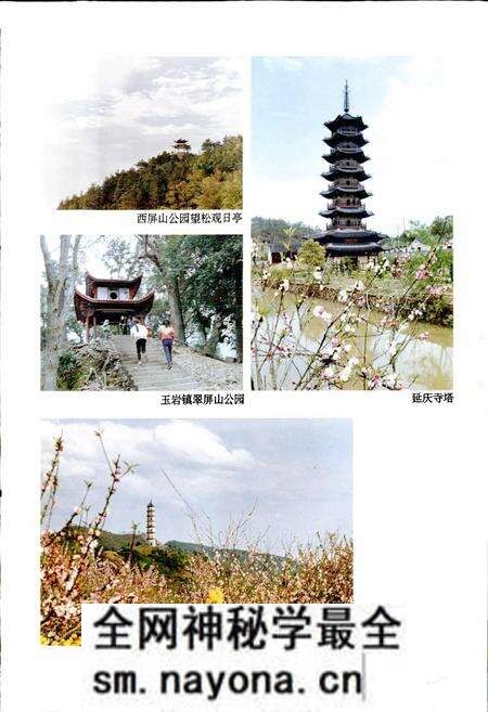 《松阳县志》.pdf电子版_浙江省志预览图5 《松阳县志》.pdf电子版_浙江省志预览图5