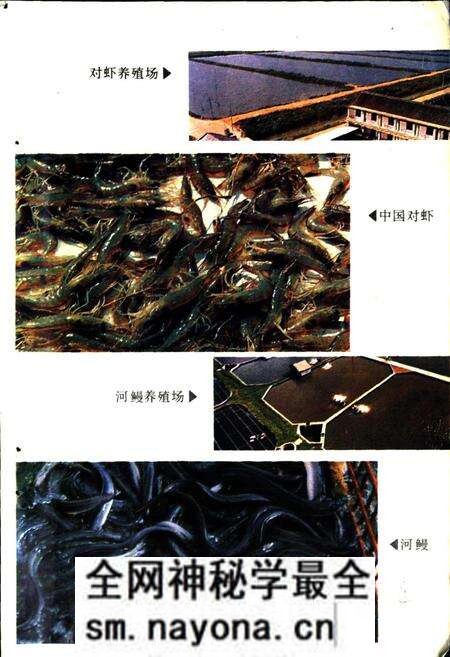 《嘉兴市水产志》.pdf电子版_浙江省志预览图4 《嘉兴市水产志》.pdf电子版_浙江省志预览图4