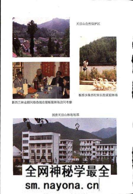 《临安林业志》.pdf电子版_浙江省志预览图4