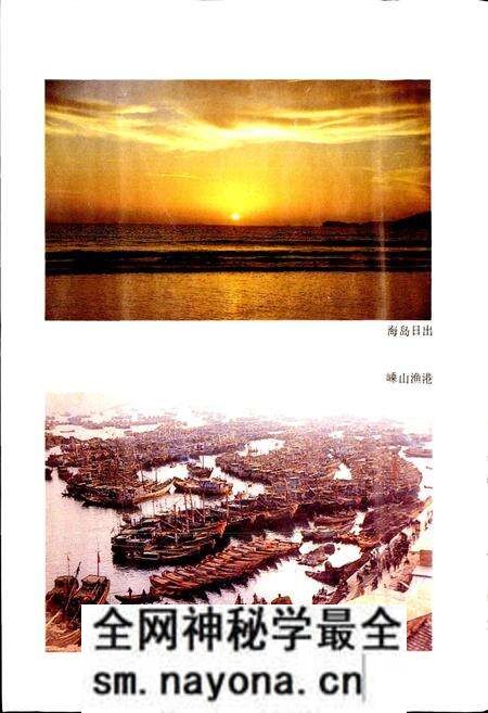 《嵊泗县志》.pdf电子版_浙江省志预览图4 《嵊泗县志》.pdf电子版_浙江省志预览图4