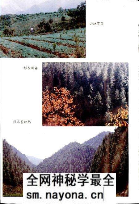 《富阳县林业志》.pdf电子版_浙江省志预览图4 《富阳县林业志》.pdf电子版_浙江省志预览图4
