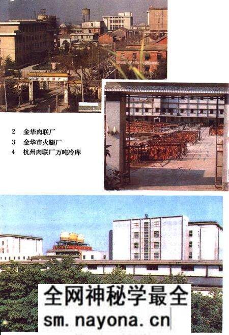《浙江肉禽蛋商业志》.pdf电子版_浙江省志预览图4 《浙江肉禽蛋商业志》.pdf电子版_浙江省志预览图4