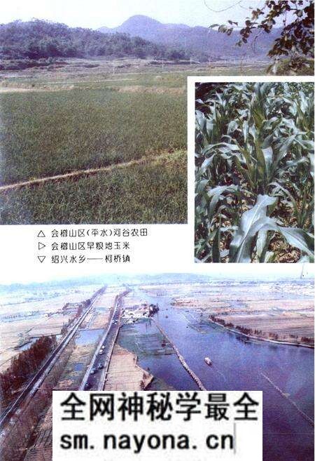 《绍兴县农业志》.pdf电子版_浙江省志预览图5
