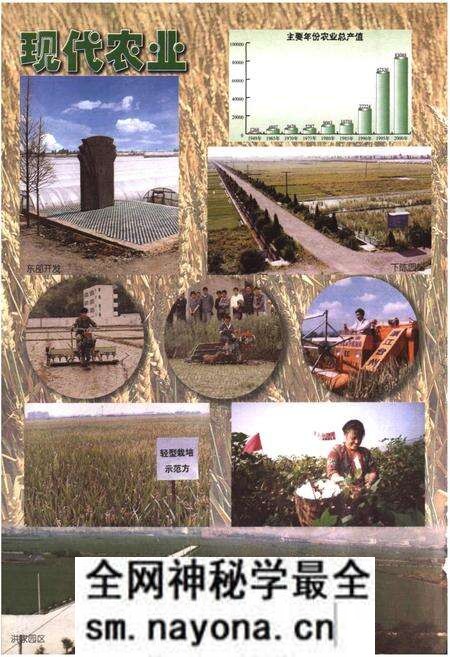 《椒江农业志》.pdf电子版_浙江省志预览图4 《椒江农业志》.pdf电子版_浙江省志预览图4
