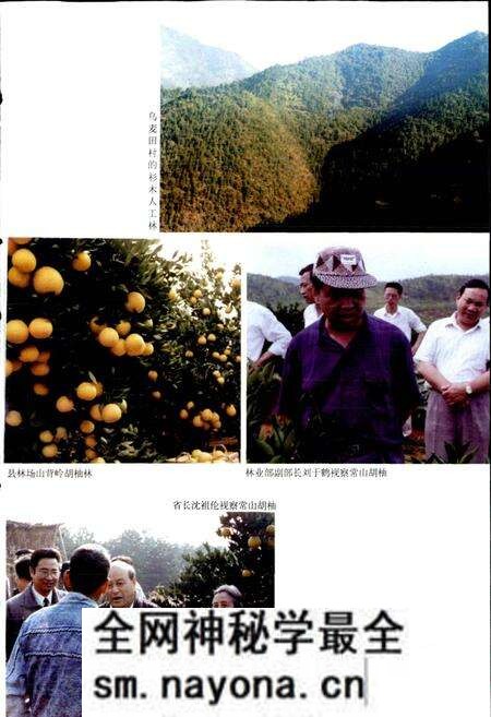 《常山县林业志》.pdf电子版_浙江省志预览图5 《常山县林业志》.pdf电子版_浙江省志预览图5