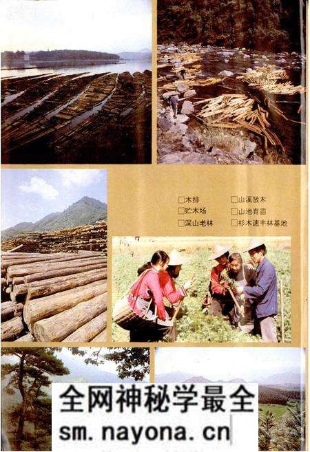 《龙泉县志》.pdf电子版_浙江省志预览图5 《龙泉县志》.pdf电子版_浙江省志预览图5