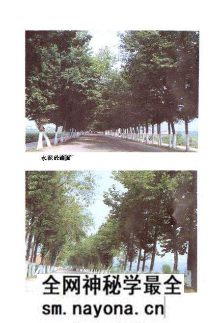 《浦江县交通志》.pdf电子版_浙江省志预览图5 《浦江县交通志》.pdf电子版_浙江省志预览图5