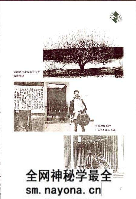 《浙江省蚕桑志》.pdf电子版_浙江省志预览图5 《浙江省蚕桑志》.pdf电子版_浙江省志预览图5