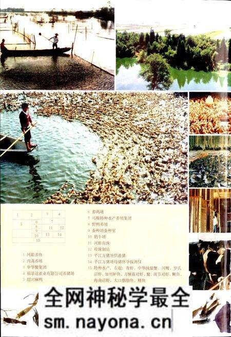 《绍兴县志 第二册 经济 政治》.pdf电子版_浙江省志预览图5 《绍兴县志 第二册 经济 政治》.pdf电子版_浙江省志预览图5