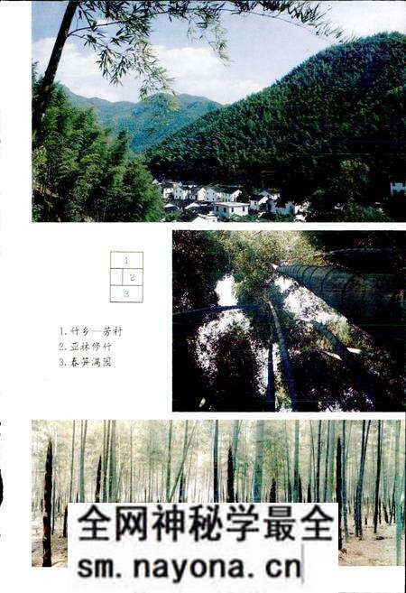 《富阳县林业志》.pdf电子版_浙江省志预览图5 《富阳县林业志》.pdf电子版_浙江省志预览图5
