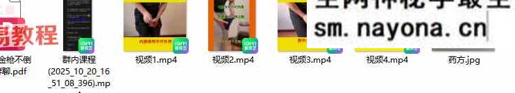 广化-金枪不倒视频5集+资料
