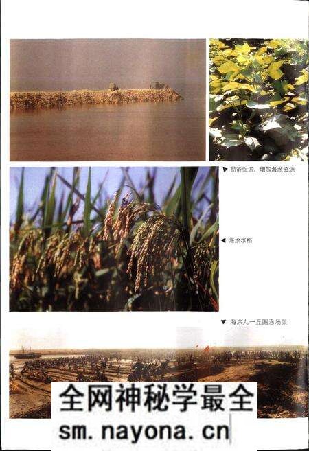 《上虞市土地志》.pdf电子版_浙江省志预览图5