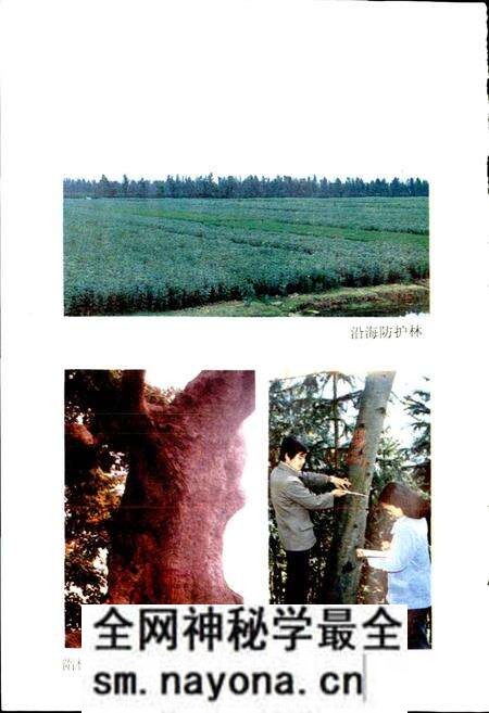 《临海林业特产志》.pdf电子版_浙江省志预览图3