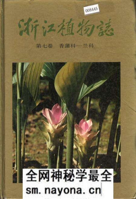 《浙江植物志 第七卷 香蒲科—兰科》.pdf电子版_浙江省志预览图