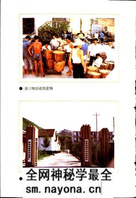 《淳安县粮食志》.pdf电子版_浙江省志预览图5 《淳安县粮食志》.pdf电子版_浙江省志预览图5