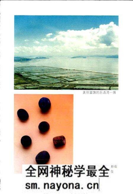 《乐清县水产志》.pdf电子版_浙江省志预览图4 《乐清县水产志》.pdf电子版_浙江省志预览图4