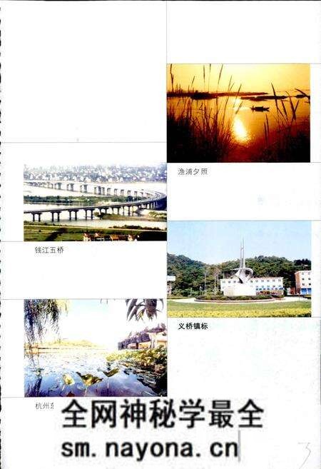 《杭州市萧山区义桥实验学校校志》.pdf电子版_浙江省志预览图5