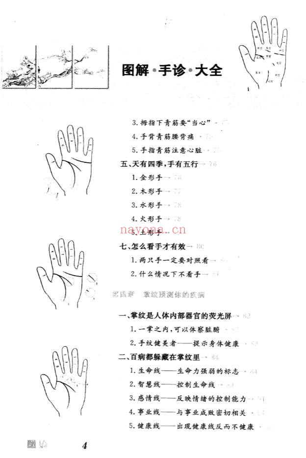 雷子张家林图解手诊大全319页PDF 手诊医学教程