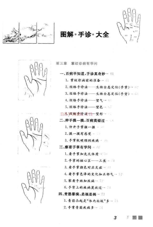 雷子张家林图解手诊大全319页PDF 手诊医学教程