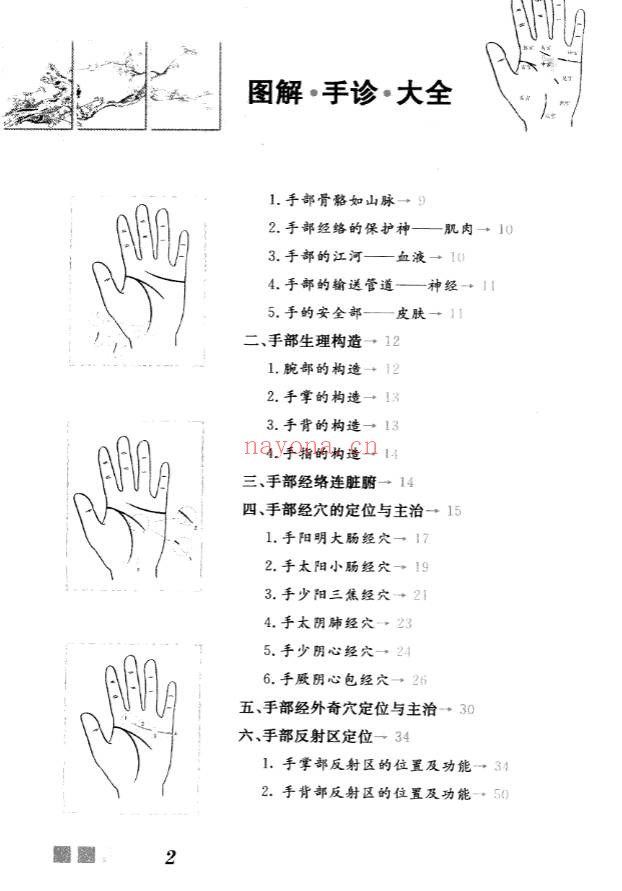 雷子张家林图解手诊大全319页PDF 手诊医学教程