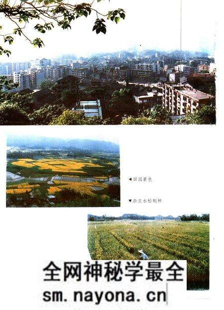 《垫江县志》.pdf电子版_重庆市志预览图3 《垫江县志》.pdf电子版_重庆市志预览图3