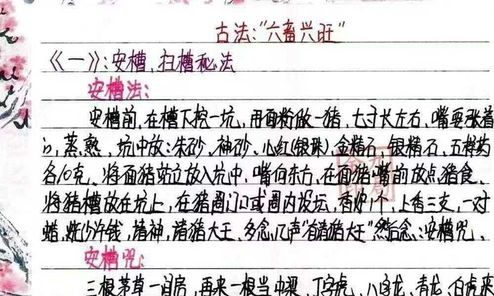 金九局 古法破解《堂口布局、堂口仙家圈人圈财》55页