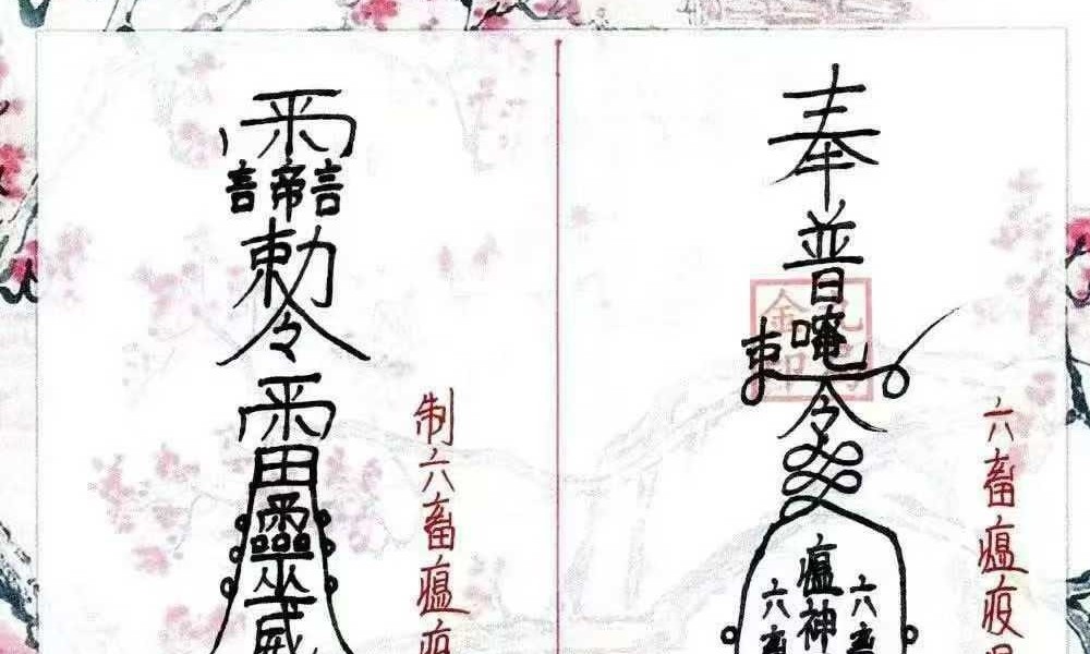 金九局 古法破解《堂口布局、堂口仙家圈人圈财》55页