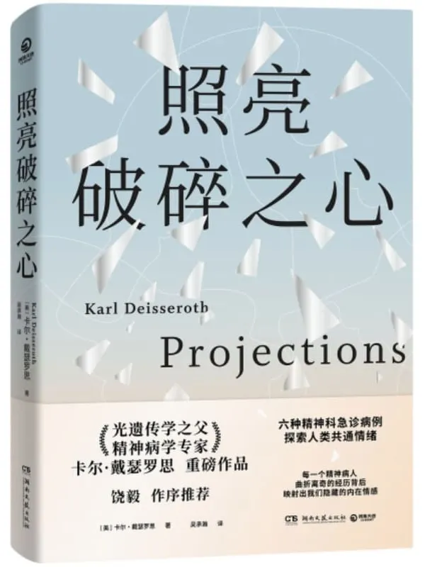 《照亮破碎之心》封面图片