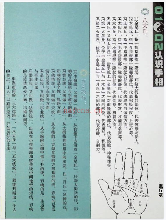 手相藏在手中的人生密码97页PDF 手相学教程