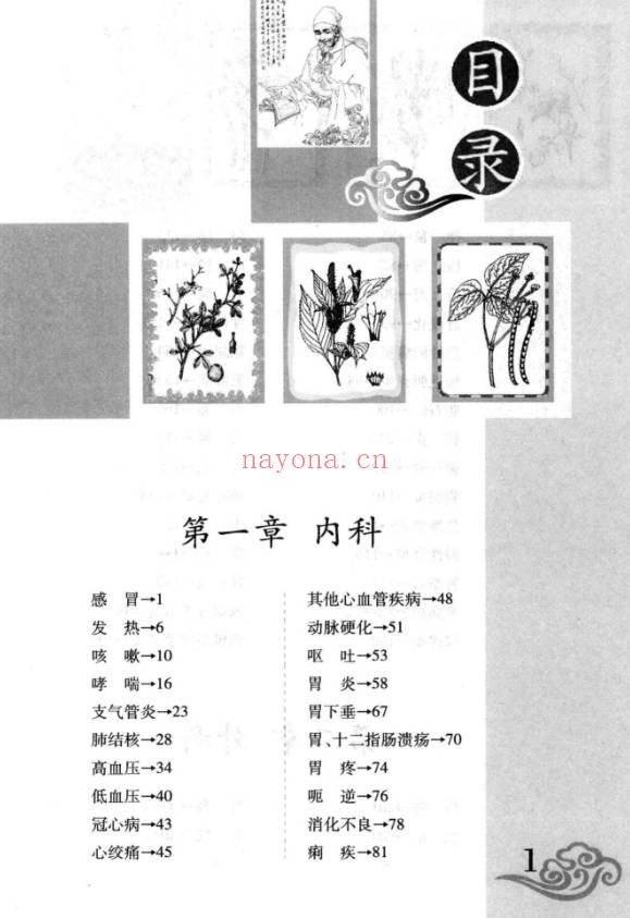 雷子图解民间偏方448页PDF 民间偏方大全