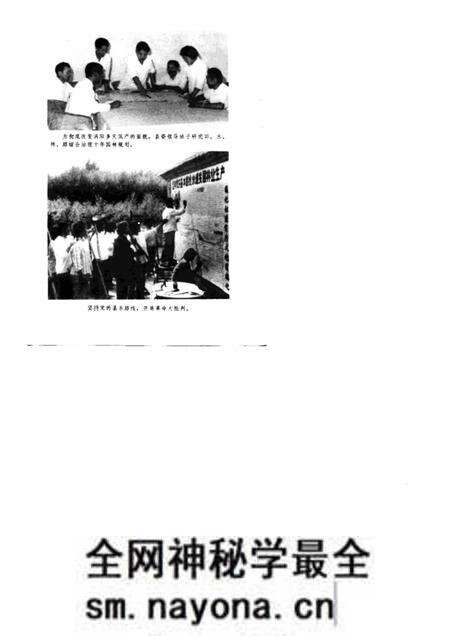1976版农业学大寨先进典型  涡阳大地披绿装.pdf电子版_安徽省志预览图3