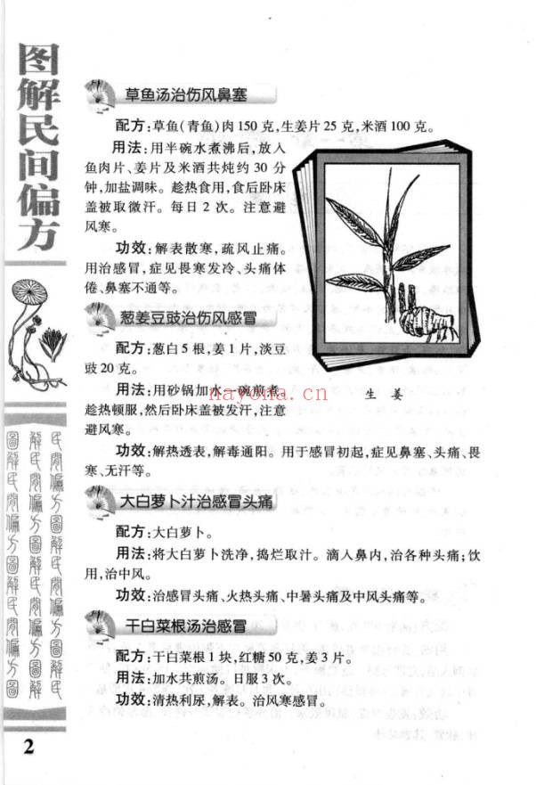 雷子图解民间偏方448页PDF 民间偏方大全