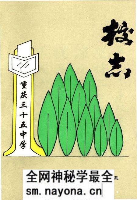 《重庆三十五中学校志》.pdf电子版_重庆市志预览图 《重庆三十五中学校志》.pdf电子版_重庆市志预览图