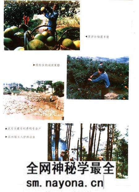 《垫江县志》.pdf电子版_重庆市志预览图5 《垫江县志》.pdf电子版_重庆市志预览图5