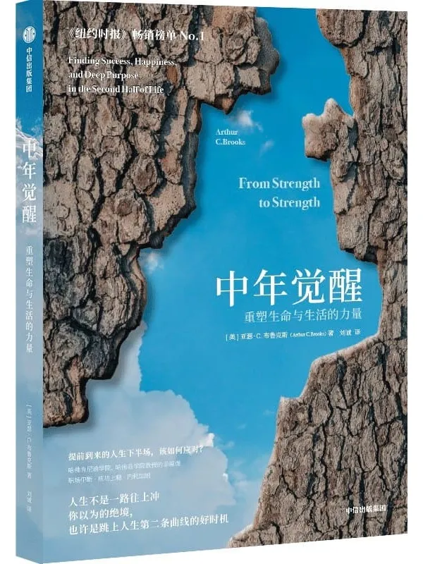 《中年觉醒》阿瑟·C.布鲁克斯【扫描版_PDF电子书_推荐】 《中年觉醒》封面图片