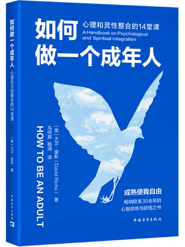 《如何做一个成年人：心理和灵性整合的14堂课》封面图片